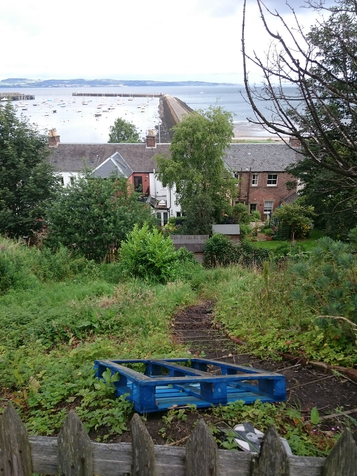 steep coastal garden Edinburgh